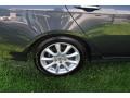 Carbon Gray Pearl - TSX Sedan Photo No. 21