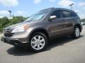 2009 Urban Titanium Metallic Honda CR-V EX-L 4WD  photo #2