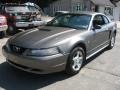 2002 Mineral Grey Metallic Ford Mustang V6 Coupe  photo #3