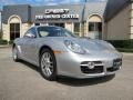 Arctic Silver Metallic - Cayman  Photo No. 1