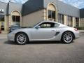Arctic Silver Metallic - Cayman  Photo No. 4
