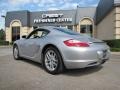Arctic Silver Metallic - Cayman  Photo No. 5
