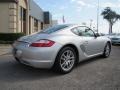 Arctic Silver Metallic - Cayman  Photo No. 7