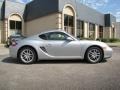Arctic Silver Metallic - Cayman  Photo No. 8