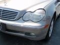 Pewter Silver Metallic - C 240 Sedan Photo No. 5