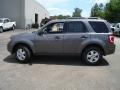 2010 Sterling Grey Metallic Ford Escape XLT 4WD  photo #2