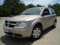 2009 Light Sandstone Metallic Dodge Journey SE  photo #1