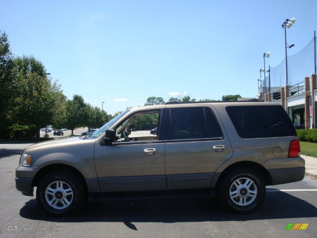 2003 Expedition XLT 4x4 - Arizona Beige Metallic / Medium Parchment photo #3