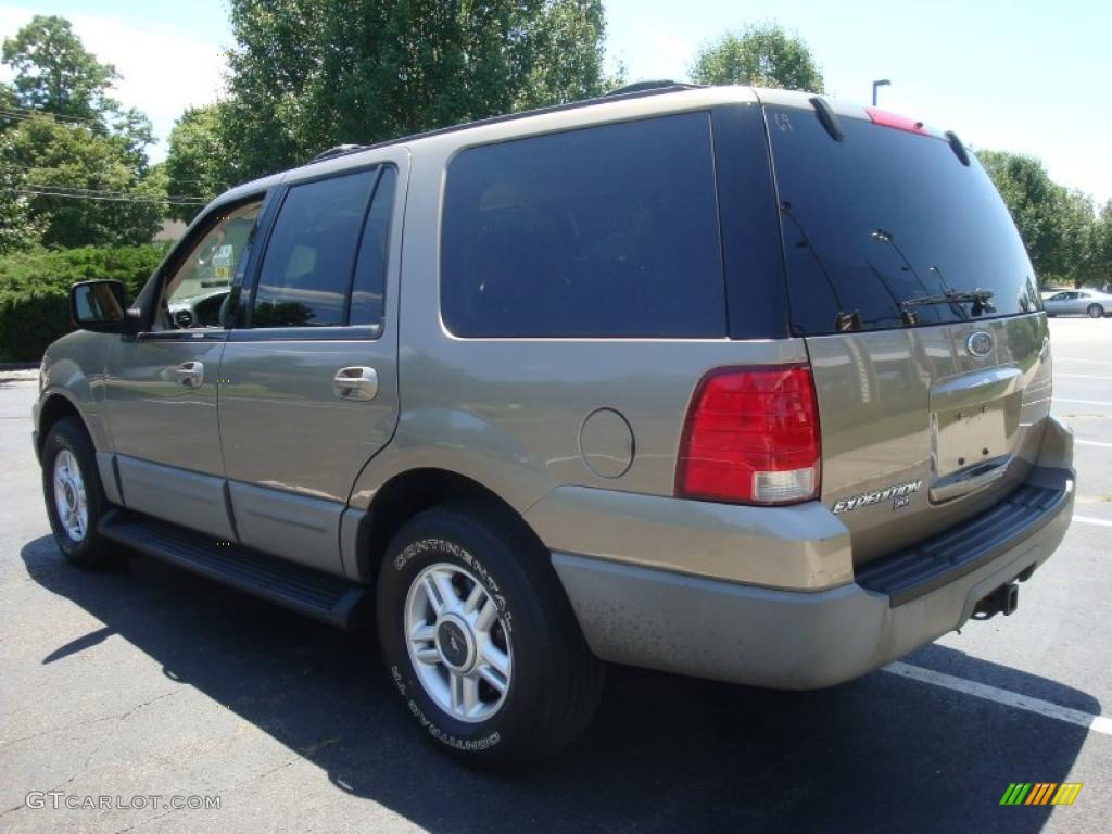 2003 Expedition XLT 4x4 - Arizona Beige Metallic / Medium Parchment photo #4