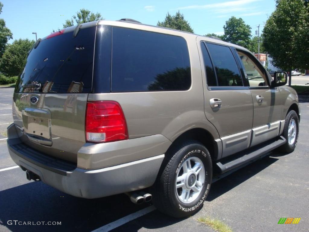 2003 Expedition XLT 4x4 - Arizona Beige Metallic / Medium Parchment photo #6