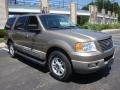2003 Arizona Beige Metallic Ford Expedition XLT 4x4  photo #8