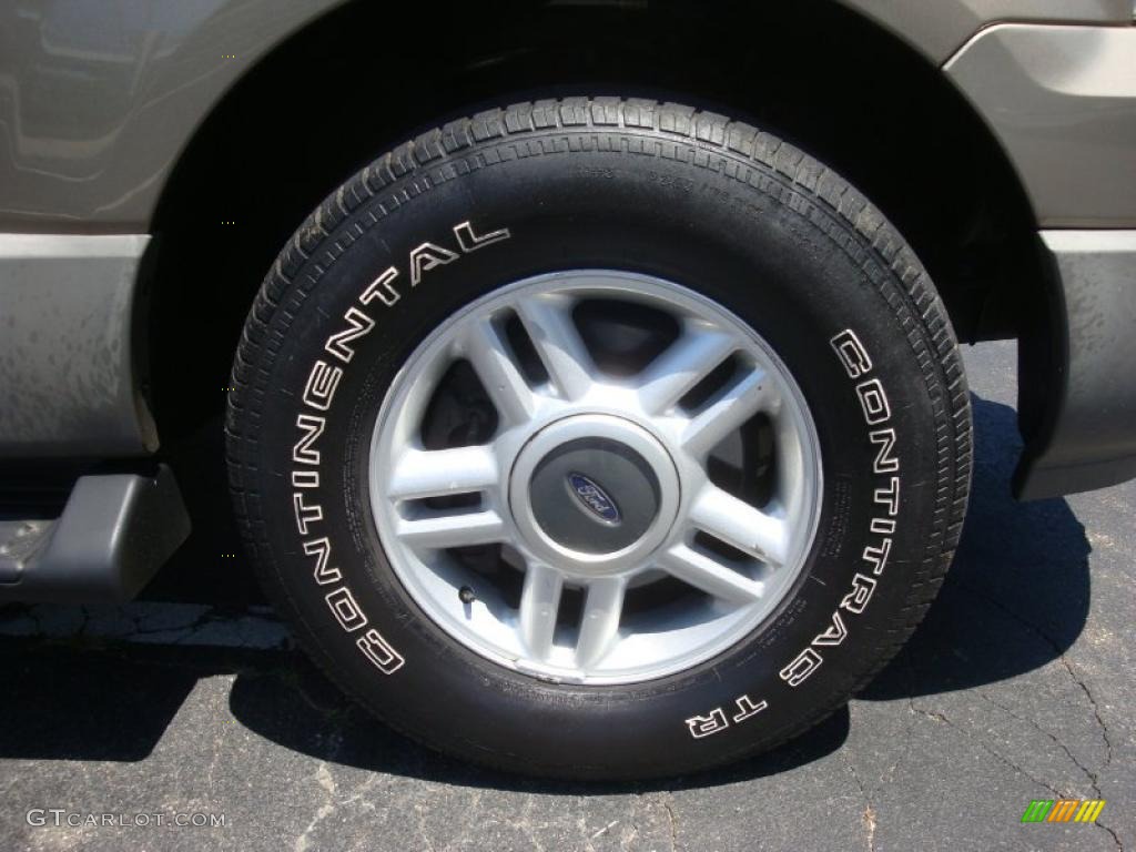 2003 Expedition XLT 4x4 - Arizona Beige Metallic / Medium Parchment photo #9