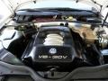 2001 Candy White Volkswagen Passat GLX Wagon  photo #18