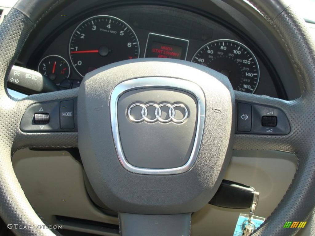 2006 A4 2.0T quattro Sedan - Dolphin Gray Metallic / Platinum photo #20