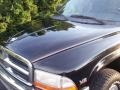 Black - Dakota SLT Extended Cab 4x4 Photo No. 8