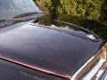 Black - Dakota SLT Extended Cab 4x4 Photo No. 18