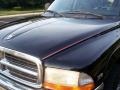 Black - Dakota SLT Extended Cab 4x4 Photo No. 20