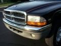 Black - Dakota SLT Extended Cab 4x4 Photo No. 21