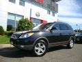 2007 Black Diamond Hyundai Veracruz SE AWD  photo #1