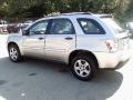 2006 Galaxy Silver Metallic Chevrolet Equinox LS AWD  photo #3