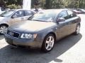 Dolphin Grey Metallic - A4 1.8T Sedan Photo No. 4