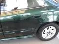 Polo Green Metallic - Grand Am SE Sedan Photo No. 4