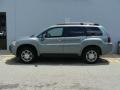 2007 Satin Meisai Gray Pearl Mitsubishi Endeavor SE AWD  photo #3