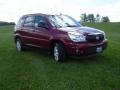 2007 Cardinal Red Metallic Buick Rendezvous CX  photo #7