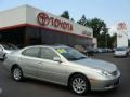 Millennium Silver Metallic - ES 330 Photo No. 1