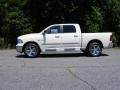 2010 Bright Silver Metallic Dodge Ram 1500 Big Horn Crew Cab  photo #11