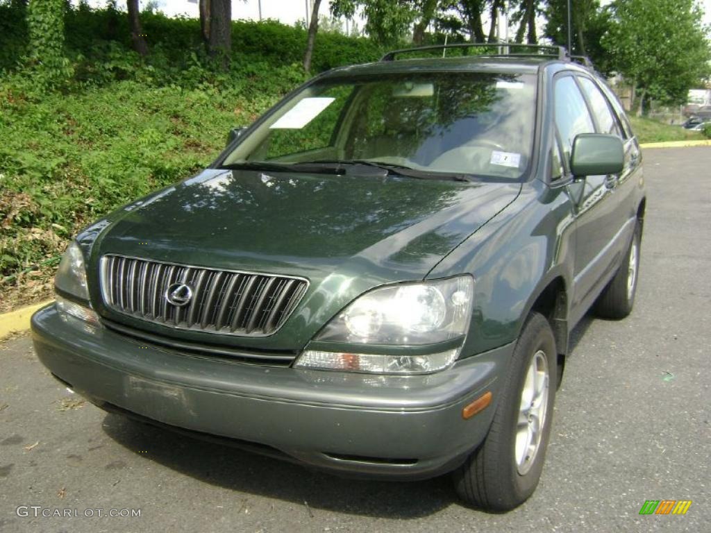 1999 RX 300 AWD - Woodland Pearl / Gray photo #2