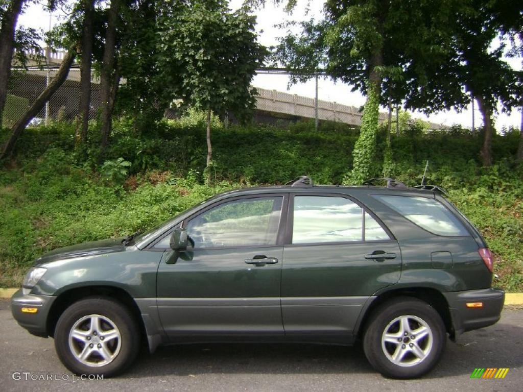 1999 RX 300 AWD - Woodland Pearl / Gray photo #3