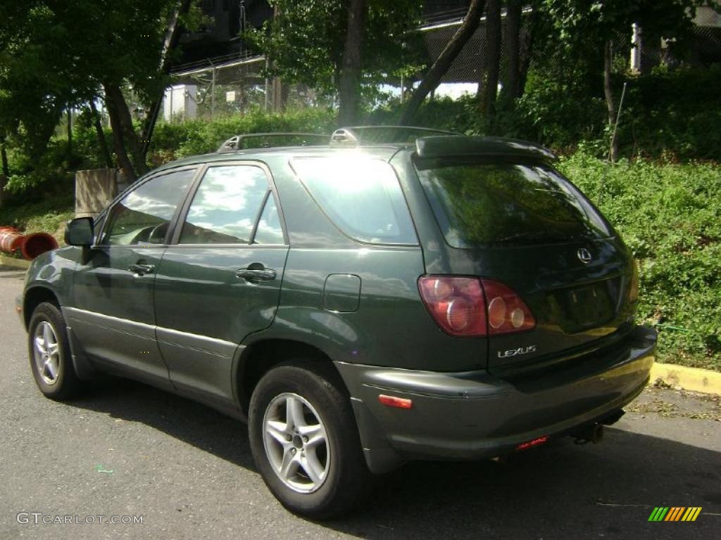1999 RX 300 AWD - Woodland Pearl / Gray photo #4