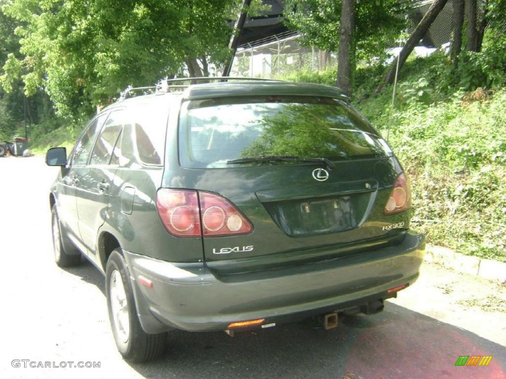 1999 RX 300 AWD - Woodland Pearl / Gray photo #5