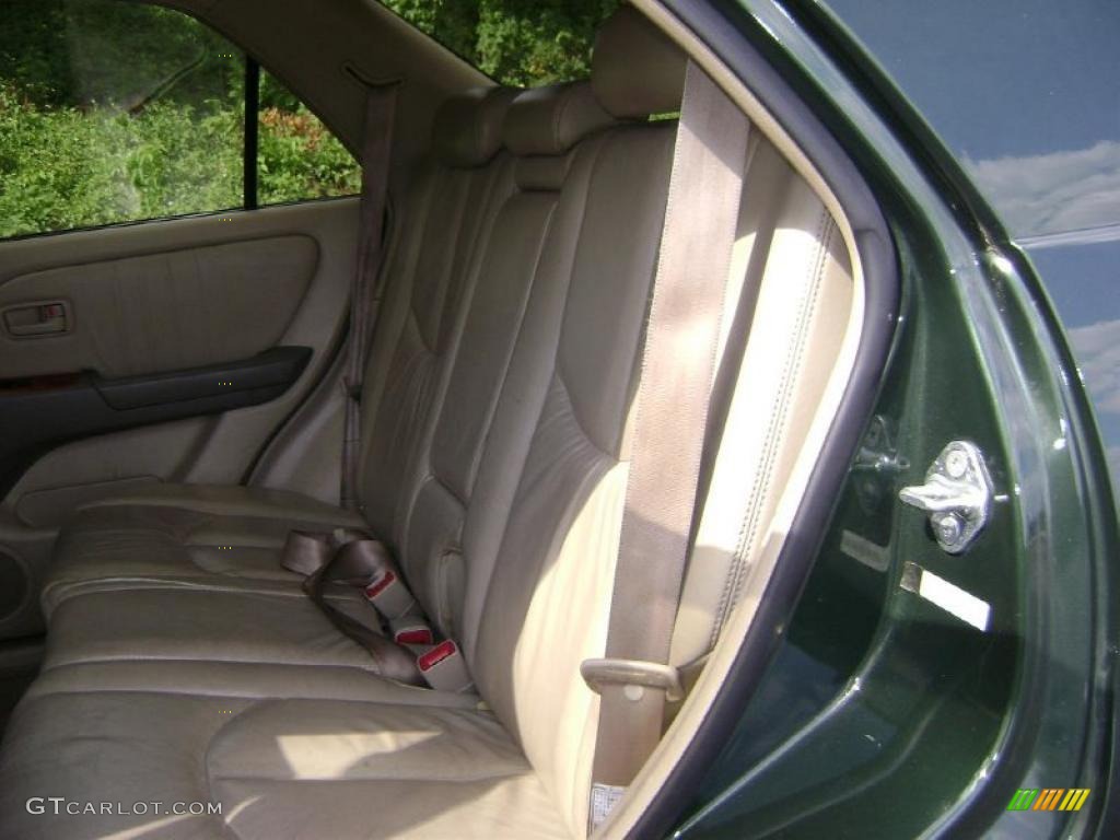 1999 RX 300 AWD - Woodland Pearl / Gray photo #6