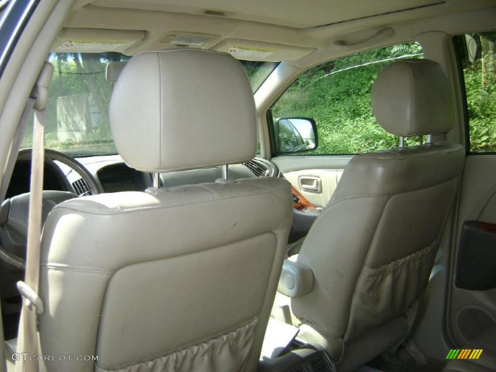 1999 RX 300 AWD - Woodland Pearl / Gray photo #7