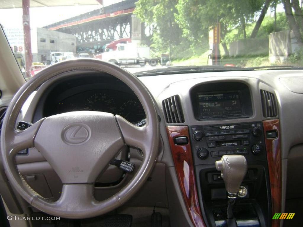 1999 RX 300 AWD - Woodland Pearl / Gray photo #8