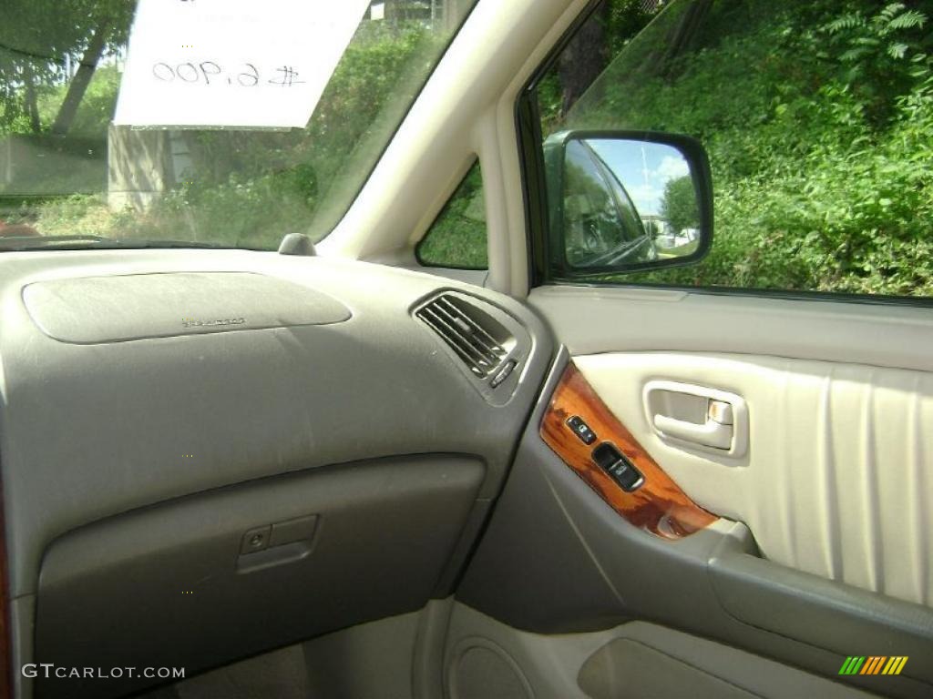 1999 RX 300 AWD - Woodland Pearl / Gray photo #9