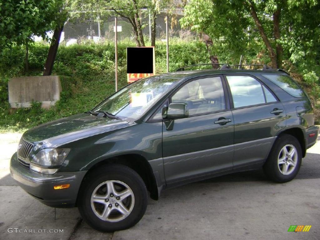 1999 RX 300 AWD - Woodland Pearl / Gray photo #15