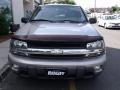Light Pewter Metallic - TrailBlazer LT 4x4 Photo No. 12