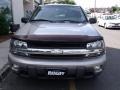 2002 Light Pewter Metallic Chevrolet TrailBlazer LT 4x4  photo #12