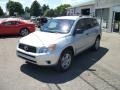 Classic Silver Metallic - RAV4 4WD Photo No. 6