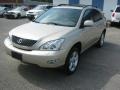 Savannah Metallic - RX 350 AWD Photo No. 1