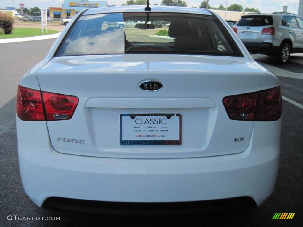 2010 Forte EX - Clear White / Coffee photo #6