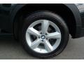 Jet Black - X5 3.0si Photo No. 18