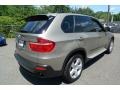 Platinum Bronze Metallic - X5 xDrive30i Photo No. 5