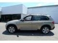 Platinum Bronze Metallic - X5 xDrive30i Photo No. 11