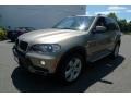 Platinum Bronze Metallic - X5 xDrive30i Photo No. 17