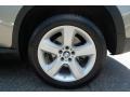 Platinum Bronze Metallic - X5 xDrive30i Photo No. 19