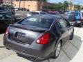 Precision Gray Metallic - Maxima 3.5 SE Photo No. 4